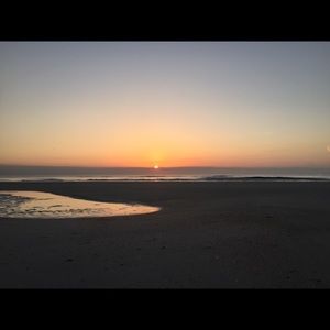 Meet your Posher, Audrey